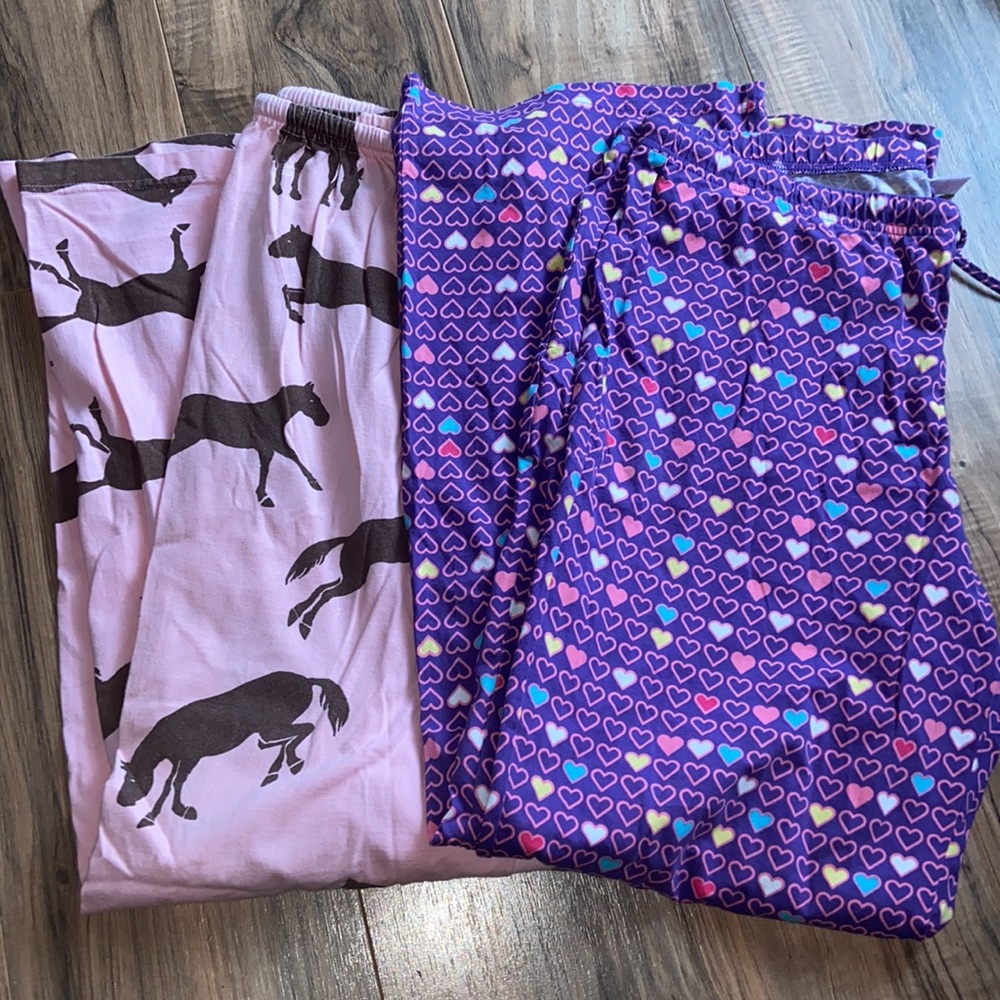 2 women’s large PJ pants